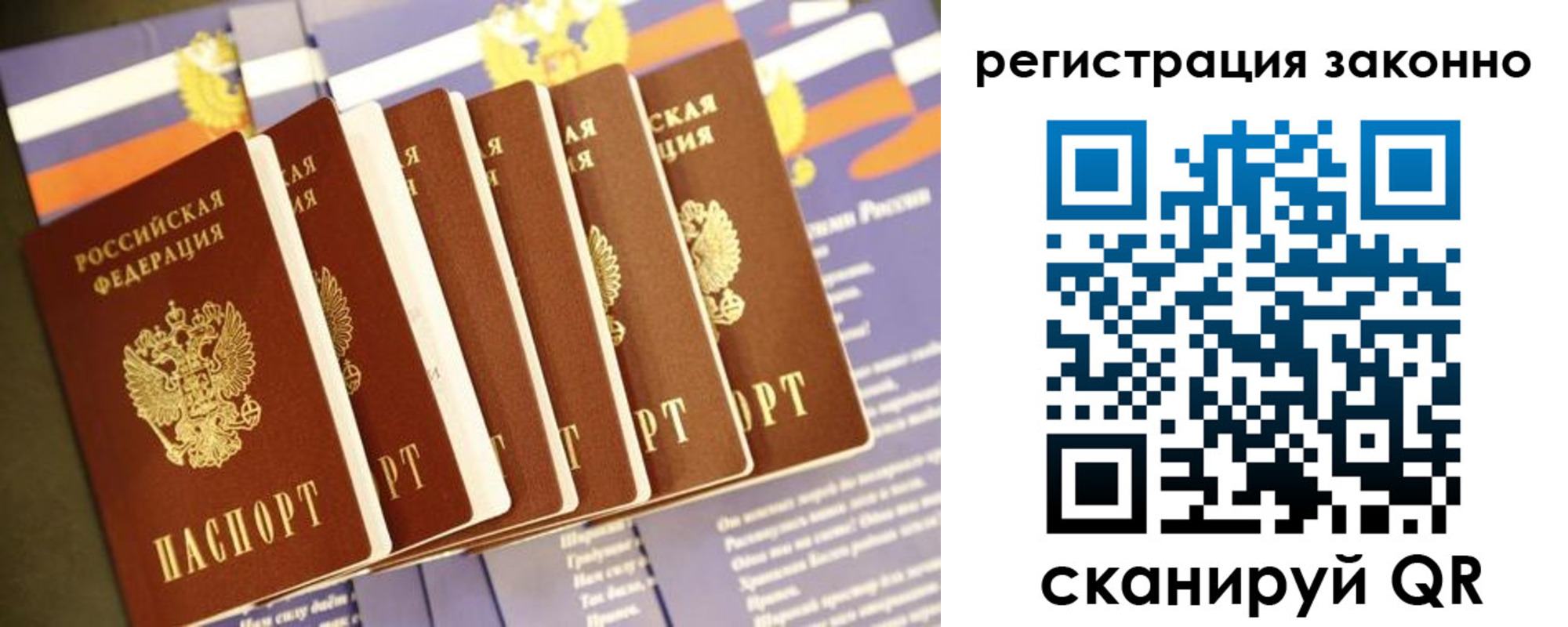 прописка для работы в Палласовке